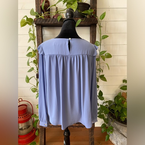 Loft: Blue Blouse with Ruffle Trim and  Embroidered Cutout - Picture 12 of 17